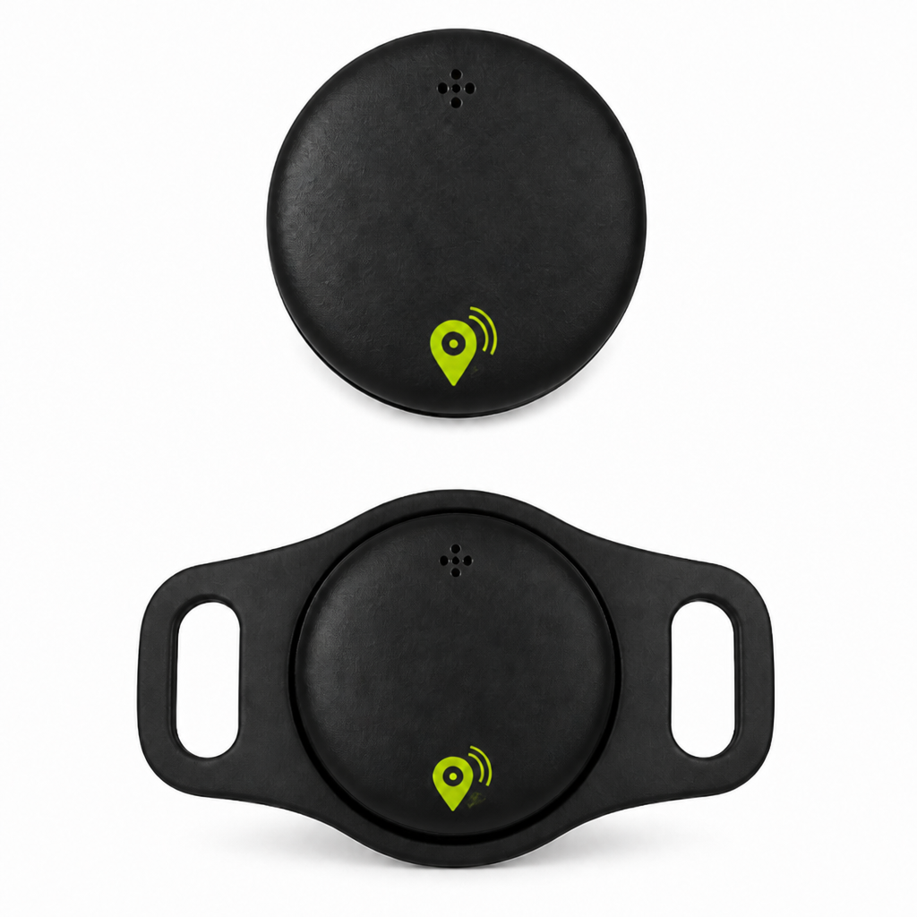 LiveTag Pro e suporte